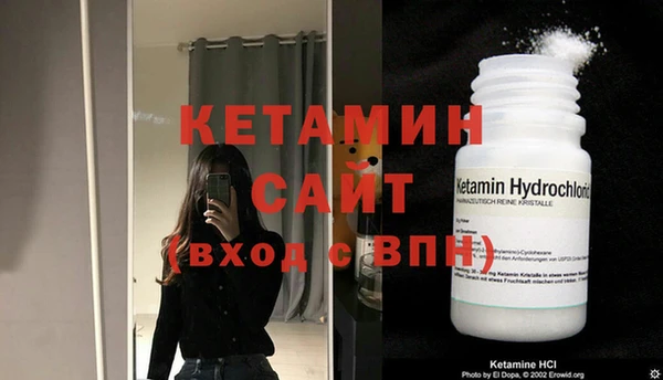 дмт Богданович