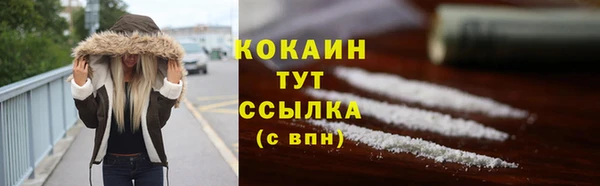 шишки Богородицк