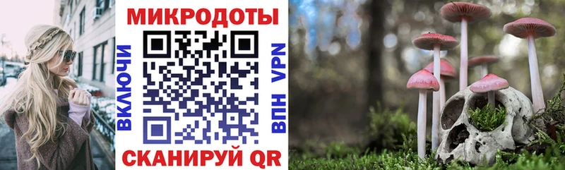 Псилоцибиновые грибы мухоморы где купить наркоту Вельск